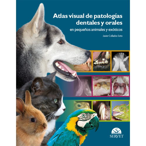 Atlas visual de patologías dentales y orales en pequeños animales