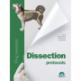 Dissection protocols. Dog Anatomy