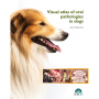 Visual atlas of oral pathologies in dogs