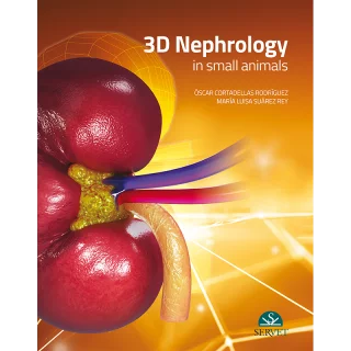 Nephrology 3D