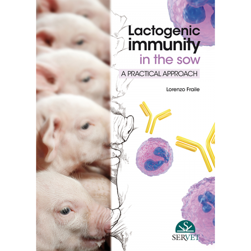 Lactogenic immunity in the sow