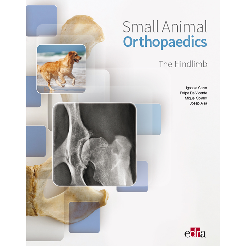 hindlimb　orthopaedics.　animal　Small　The