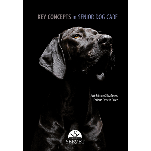 Key Concepts in Senior Dog Care