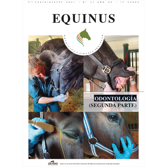 Suscripción anual Equinus. Online