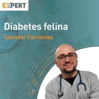 Programa Expert en Diabetes Felina
