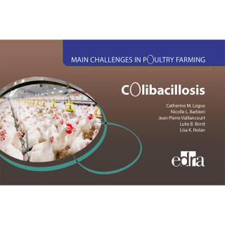 Main Challenges in Poultry Farming. Colibacillosis