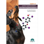 Update about canine hypothyroidism and feline hyperthyroidism