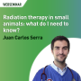 Radiation therapy in small animals: what do I need to know?