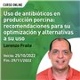 Uso de antibióticos en producción porcina: recomendaciones para su optimización y alternativas a su uso