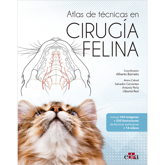 Atlas de técnicas en cirugía felina