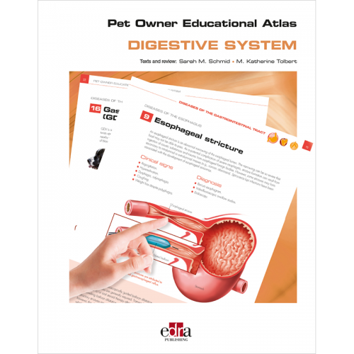 Pet Owner Educational Atlas. Digestive System
