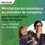Monitorización anestésica en animales de compañía