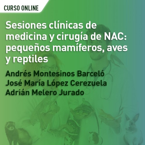 Sesiones clínicas de medicina y cirugía de NAC: pequeños mamíferos, aves y reptiles