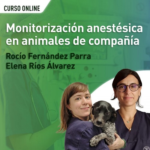 Monitorización anestésica en animales de compañía