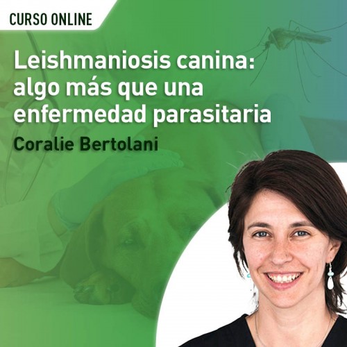 Leishmaniosis canina: algo más que una enfermedad parasitaria