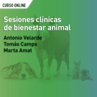 Sesiones clínicas de bienestar animal