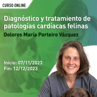 Diagnóstico y tratamiento de patologías cardíacas felinas
