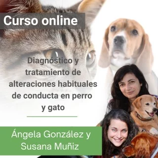 Curso: Diagnóstico y tratamiento de alteraciones de conducta habituales en perro y gato
