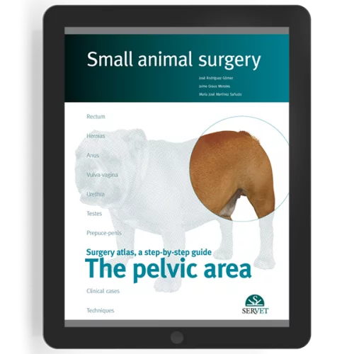 The pelvic area. Small animal surgery