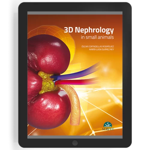 Nephrology 3D