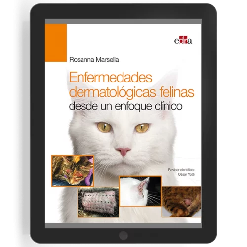 Enfermedades dermatológicas felinas desde un enfoque clínico