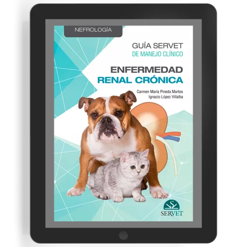 Guía Servet de Manejo Clínico: enfermedad renal crónica